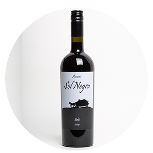 Asconi Sol Negru Merlot 2009